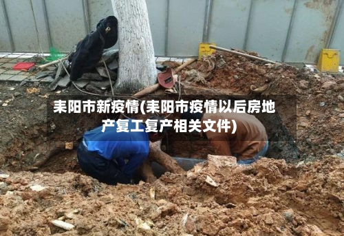 耒阳市新疫情(耒阳市疫情以后房地产复工复产相关文件)