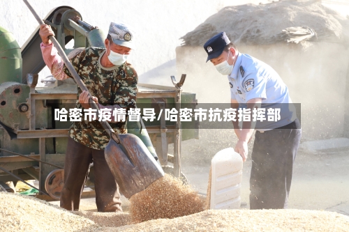 哈密市疫情督导/哈密市抗疫指挥部