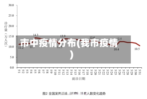 市中疫情分布(我市疫情)