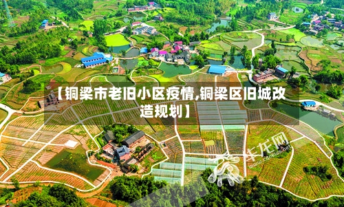 【铜梁市老旧小区疫情,铜梁区旧城改造规划】