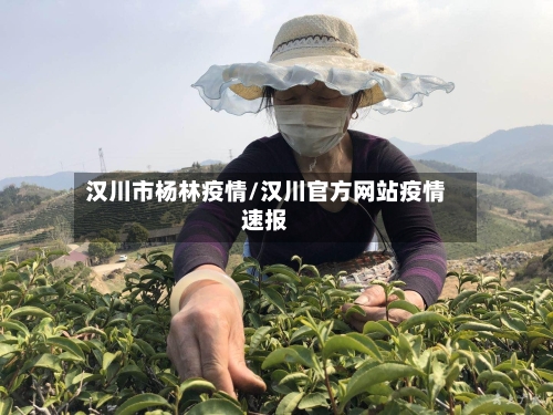 汉川市杨林疫情/汉川官方网站疫情速报-第3张图片