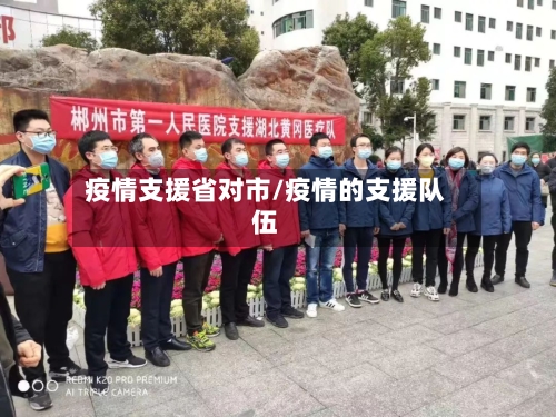 疫情支援省对市/疫情的支援队伍-第2张图片