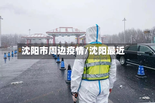 沈阳市周边疫情/沈阳最近-第2张图片