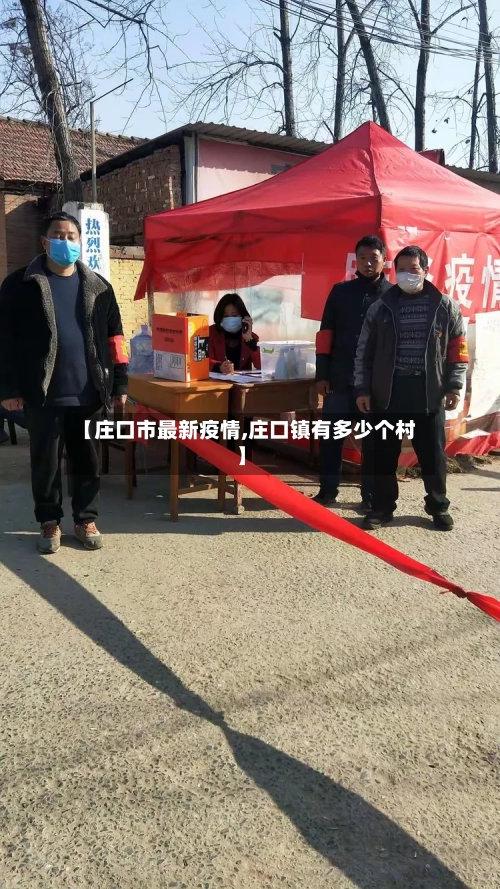 【庄口市最新疫情,庄口镇有多少个村】-第2张图片