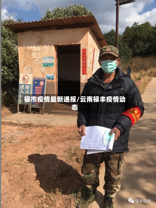 禄市疫情最新通报/云南禄丰疫情动态-第3张图片