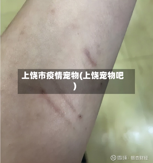 上饶市疫情宠物(上饶宠物吧)-第3张图片