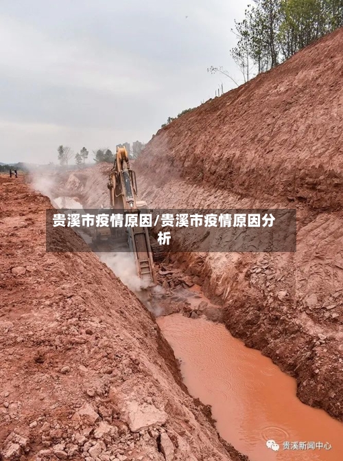 贵溪市疫情原因/贵溪市疫情原因分析
