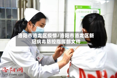 洛阳市洛龙区疫情/洛阳市洛龙区新冠病毒防控指挥部文件-第3张图片