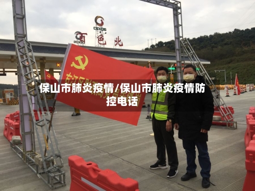 保山市肺炎疫情/保山市肺炎疫情防控电话-第2张图片