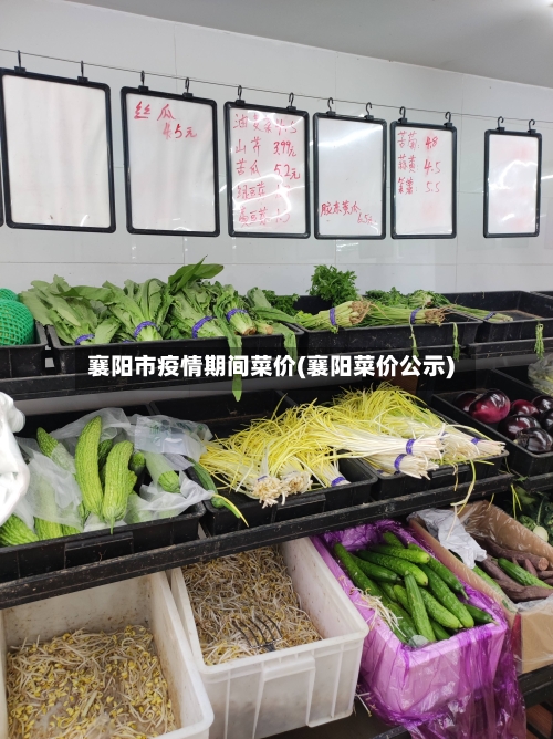 襄阳市疫情期间菜价(襄阳菜价公示)-第2张图片