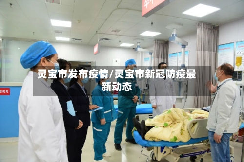 灵宝市发布疫情/灵宝市新冠防疫最新动态-第2张图片