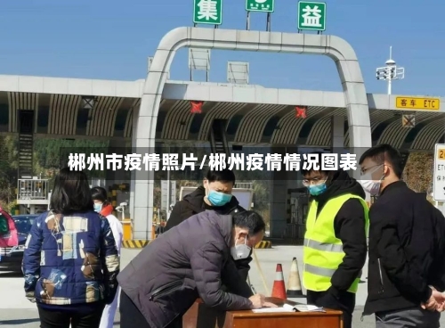 郴州市疫情照片/郴州疫情情况图表