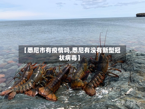 【悉尼市有疫情吗,悉尼有没有新型冠状病毒】