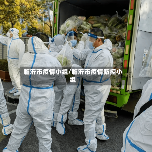 临沂市疫情小组/临沂市疫情防控小组