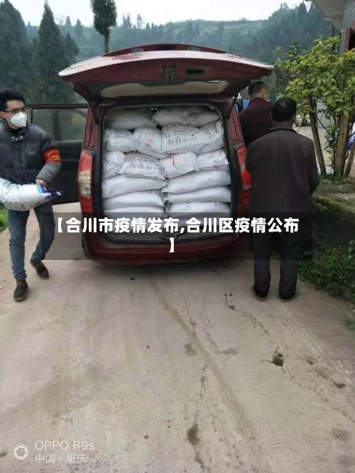 【合川市疫情发布,合川区疫情公布】