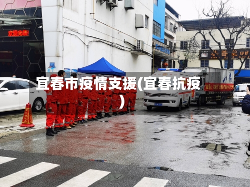 宜春市疫情支援(宜春抗疫)-第2张图片