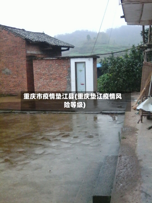 重庆市疫情垫江县(重庆垫江疫情风险等级)