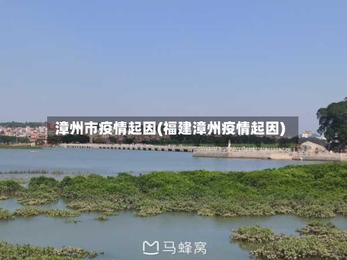 漳州市疫情起因(福建漳州疫情起因)