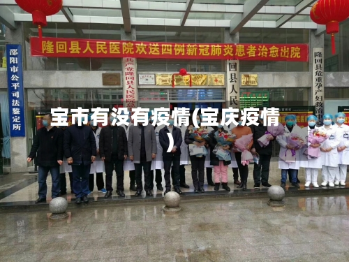 宝市有没有疫情(宝庆疫情)-第2张图片