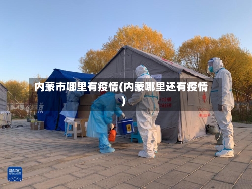 内蒙市哪里有疫情(内蒙哪里还有疫情)-第2张图片
