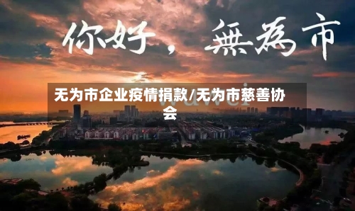 无为市企业疫情捐款/无为市慈善协会