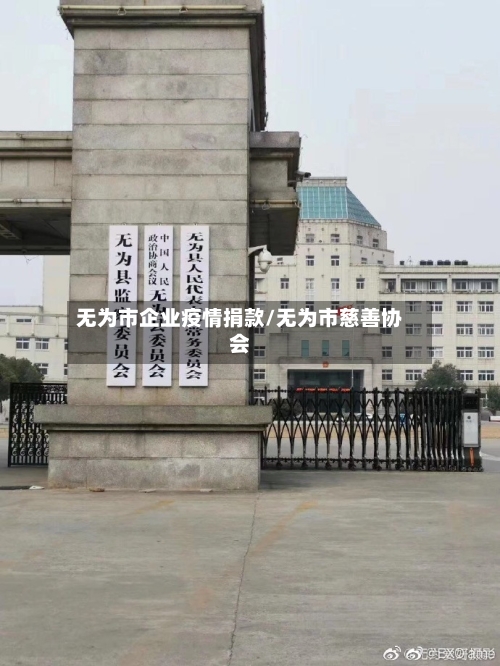 无为市企业疫情捐款/无为市慈善协会-第3张图片