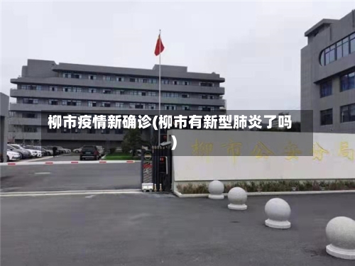 柳市疫情新确诊(柳市有新型肺炎了吗)-第2张图片