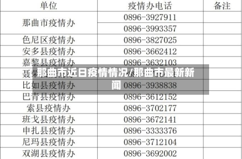 那曲市近日疫情情况/那曲市最新新闻-第3张图片