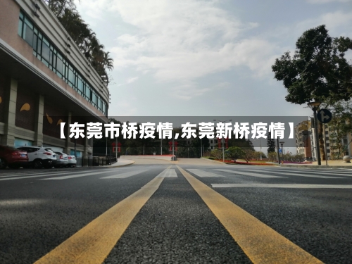 【东莞市桥疫情,东莞新桥疫情】
