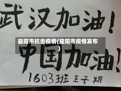 益阳市抗击疫情(益阳市疫情发布)