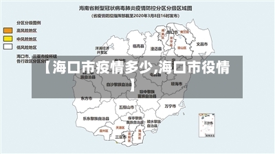 【海口市疫情多少,海口市役情】-第3张图片