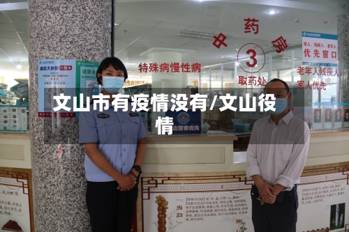 文山市有疫情没有/文山役情-第2张图片