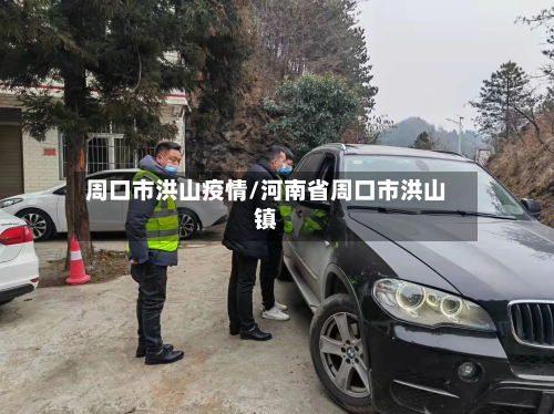 周口市洪山疫情/河南省周口市洪山镇-第2张图片