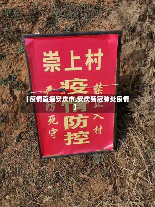【疫情直播安庆市,安庆新冠肺炎疫情】