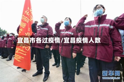 宜昌市各过疫情/宜昌疫情人数-第3张图片