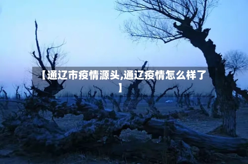 【通辽市疫情源头,通辽疫情怎么样了】-第2张图片