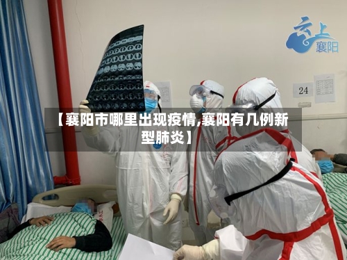 【襄阳市哪里出现疫情,襄阳有几例新型肺炎】