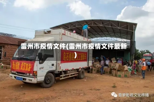 雷州市疫情文件(雷州市疫情文件最新)-第2张图片