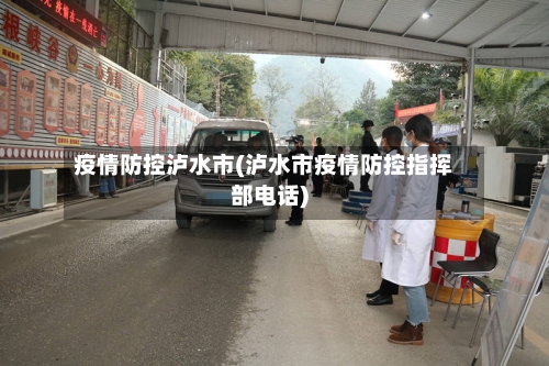 疫情防控泸水市(泸水市疫情防控指挥部电话)