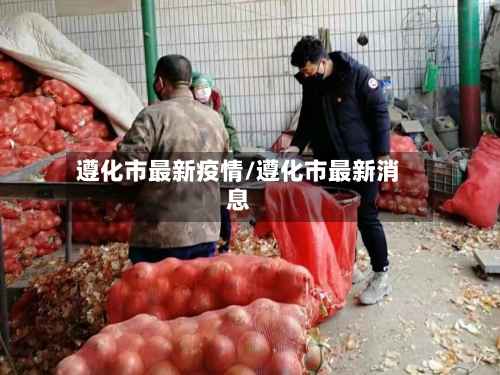 遵化市最新疫情/遵化市最新消息-第3张图片