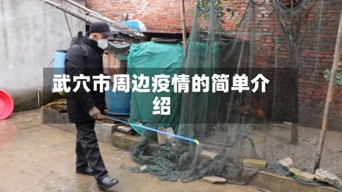 武穴市周边疫情的简单介绍