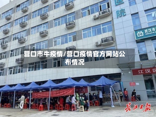 营口市牛疫情/营口疫情官方网站公布情况-第2张图片