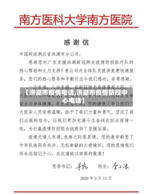 【洪湖市疫情电话,洪湖市疫情防控中心电话】