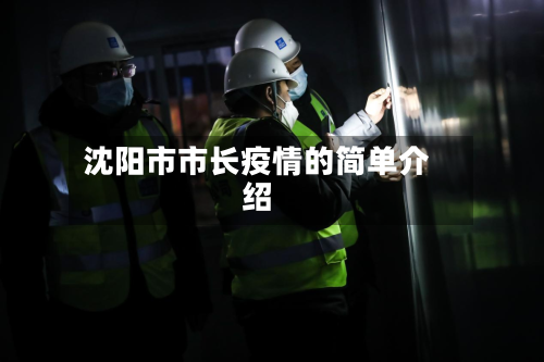 沈阳市市长疫情的简单介绍-第3张图片