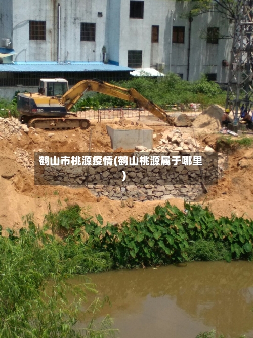 鹤山市桃源疫情(鹤山桃源属于哪里)