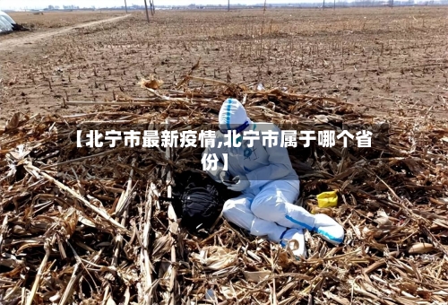 【北宁市最新疫情,北宁市属于哪个省份】-第2张图片