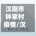 汉阳市钟家村疫情/汉阳市钟家村疫情情况