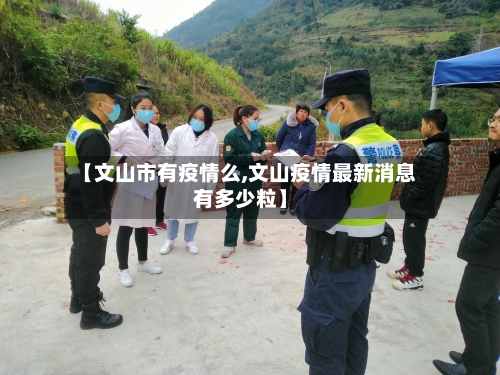 【文山市有疫情么,文山疫情最新消息有多少粒】-第2张图片