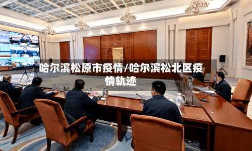 哈尔滨松原市疫情/哈尔滨松北区疫情轨迹-第2张图片