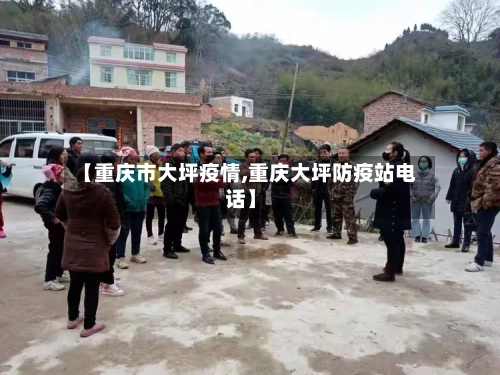 【重庆市大坪疫情,重庆大坪防疫站电话】-第2张图片